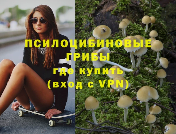 дживик Аркадак