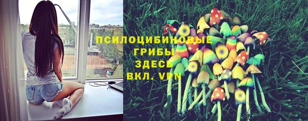 трава Армянск
