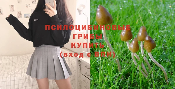 дживик Аркадак