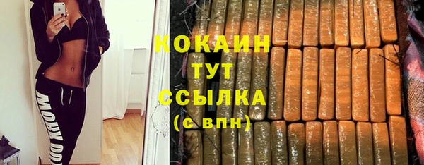 дживик Аркадак