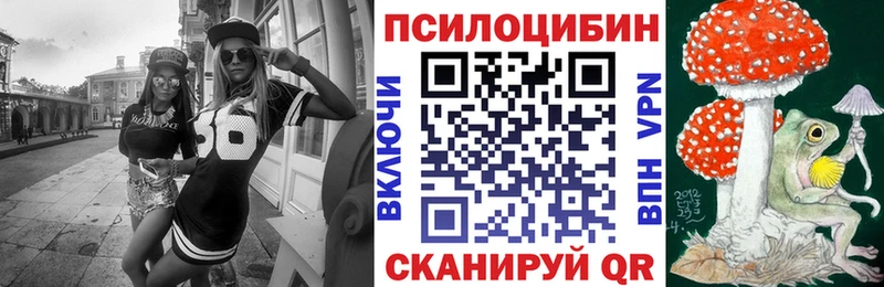 Псилоцибиновые грибы Psilocybine cubensis Санкт-Петербург